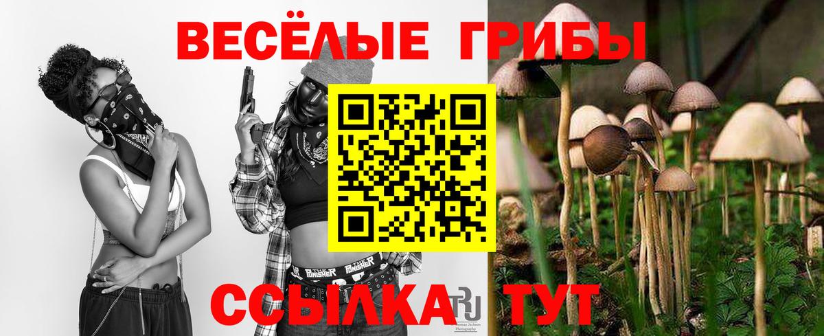 Псилоцибиновые грибы мицелий  Вход с VPN  Ялуторовск 