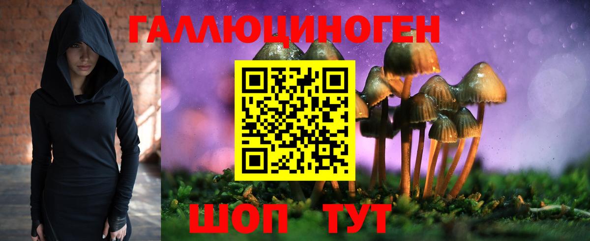 Псилоцибиновые грибы MAGIC MUSHROOMS Ялуторовск